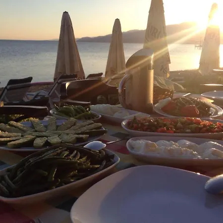 Отель Kutlugun Sahil 3*